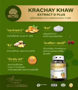 ผลิตภัณฑ์เสริมอาหาร สารสกัดกระชายชาว ดี พลัส