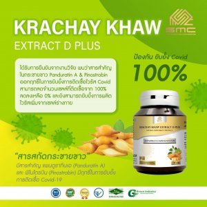 ผลิตภัณฑ์เสริมอาหาร สารสกัดกระชายชาว ดี พลัส