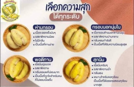 ทุเรียนหมอนทอง เนื้อล้วน น้ำหนัก 1กก. (หากจัดส่งนอกสถานที่ จะส่งเป็นลูก น้ำหนัก 3.5 นะคะ)