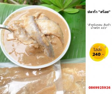 ปลาร้าสร้อย