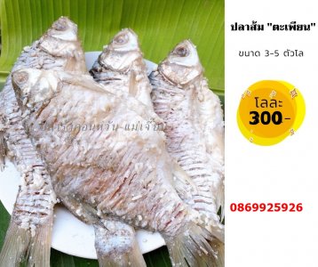 ปลาสัมนะเพียน