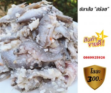 ปลาส้มสร้อย