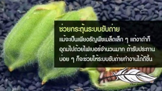 น้ำมันงาดำสัดเข้มข้น