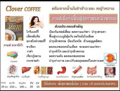 CLOVER COFFEE กาแฟเพื่อการฟื้นฟูสุขภาพและผิวพรรณ