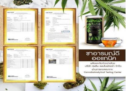 ชากัญชา อารมณ์ดี