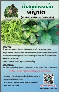 สมุนไพรกลั่นพญาล้างไต 1000ml เลขทะเบียน G296/66