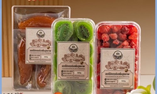 เซตผลไม้ 3 เมนูยอดนิยม หวาน เปรี้ยว อร่อยจากธรรมชาติ วิตามินซีและใยอาหารสูง น้ำหนักแพคละ 500g ร้านM019677