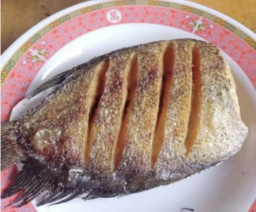 ปลาสลิดแดดเดียวบางบ่อ สมุทรปราการ