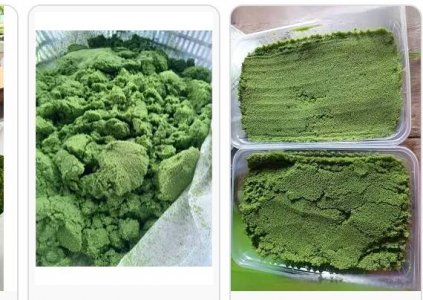 ไข่ผำชัยภูมิ 2 กิโลกรัม จัดส่งฟรี