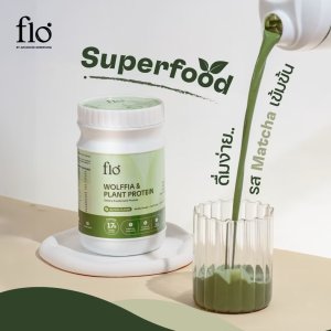 flo Wolffia & Plant Protein - Matcha