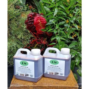 EM หัวเชื้อจุลินทรีย์อีเอ็ม ขนาด1ลิตรX2แกลลอนสูตรเข้มข้นแก้ปัญหาส้วมอืดดับกลิ่นเหม็นช่วยย่อยสลายคราบไขมันในบ่อบำบัด