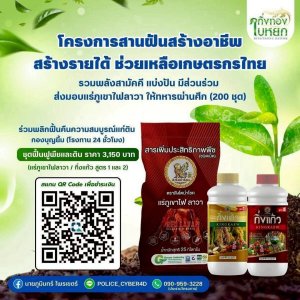 แร่ภูเขาไฟลาวาคุณภาพสูง