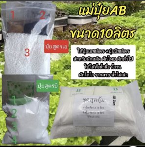 ปุ๋ย AB ไฮโดรโปนิกส์ แบบแห้ง ขนาด 10 ลิตร แถมฟรีคู่มือและวิดีโอสอนปลูกผักไฮโดรโปนิกส์