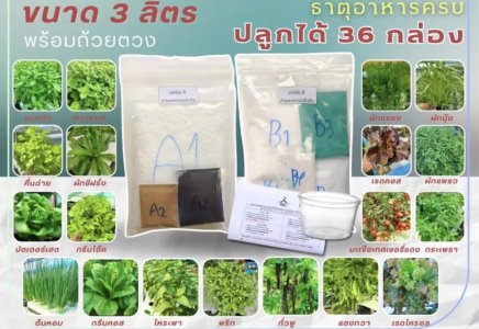 ปุ๋ยAB ชนิดแห้ง 3 ลิตร ปลูกได้ 36 กล่อง ใช้ได้กับพืชผักทุกชนิด แถมถ้วยตวง+คู่มือ- เกษตรกรรมยั่งยืน