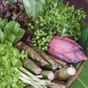 Cash back Active ชุมชนร้านศรีวิไล