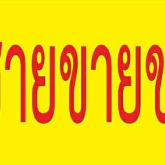 ผู้ชายขายของM005957